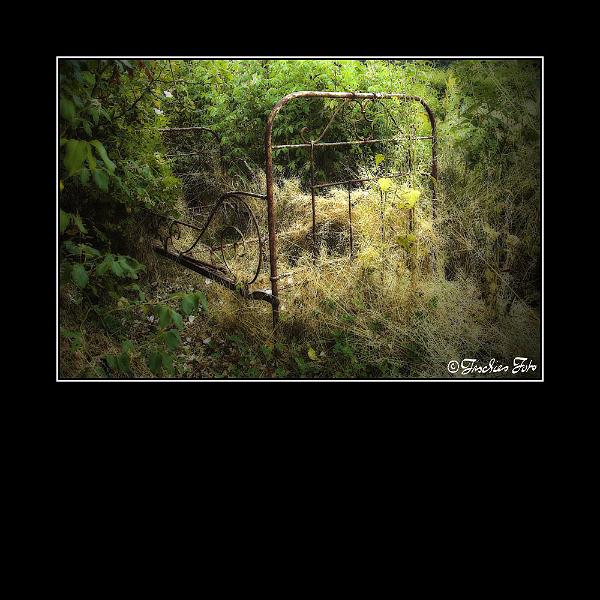 6225217.jpg - Schlafzimmer im Grünen