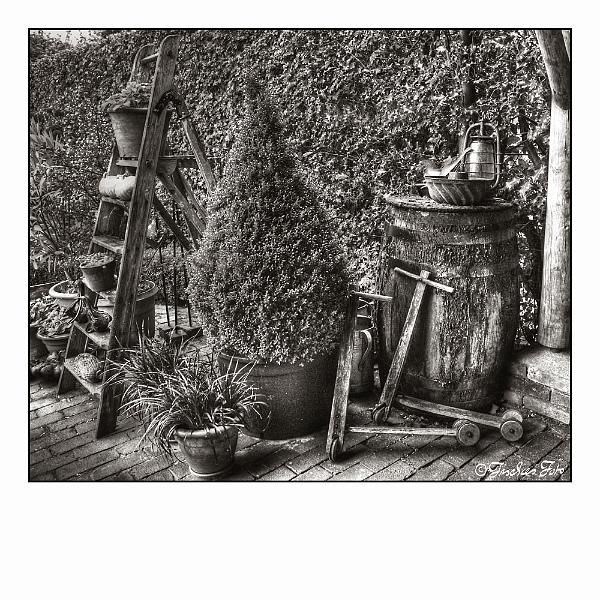 7187655.jpg - Gartenidylle